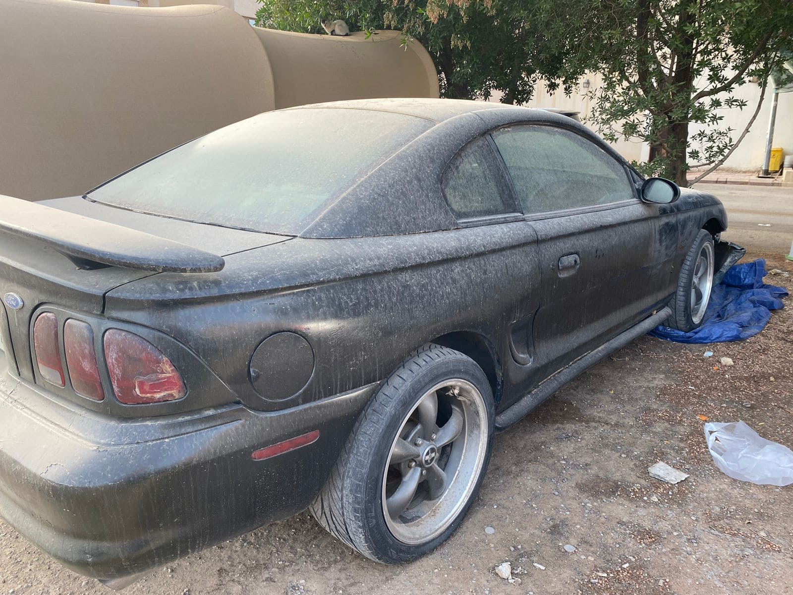 شراء السيارات القديمة